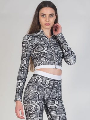 Bristol Snake Bristol Snake